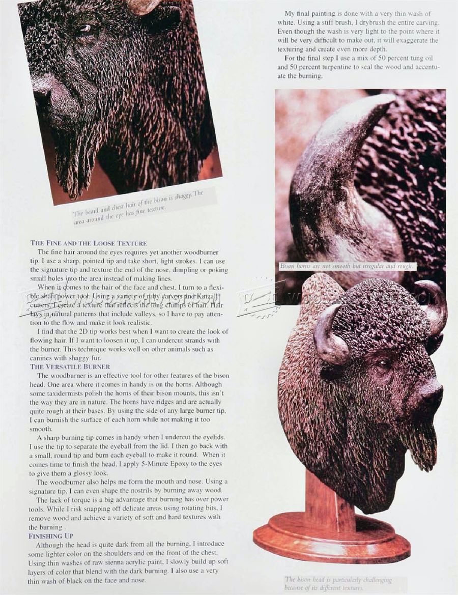Carving Bison Head - Wood Carving Patterns