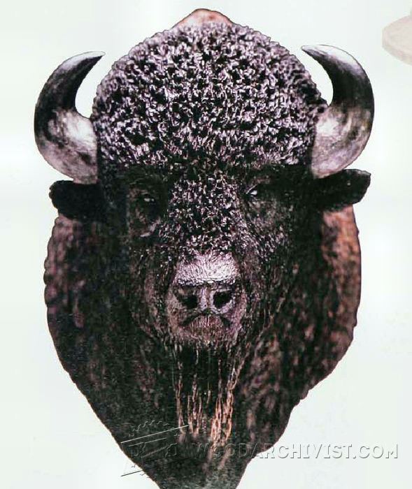 Carving Bison Head Wood Carving Patterns • WoodArchivist