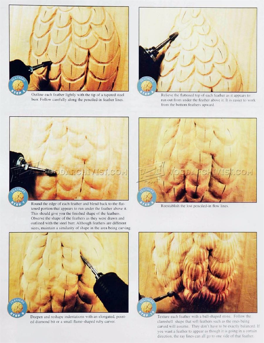 Carving Feathers Wood Carving Techniques • WoodArchivist