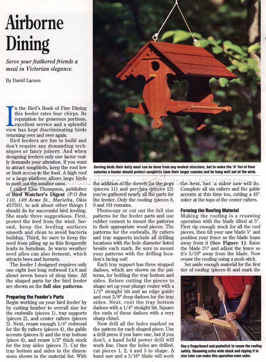 Bird Feeder Plans