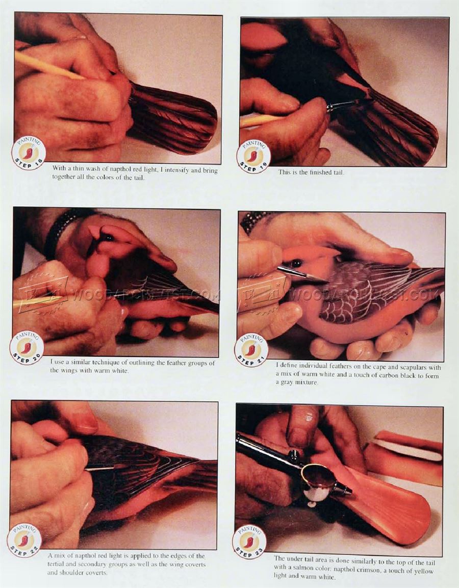 Cardinal Carving – Wood Carving Patterns