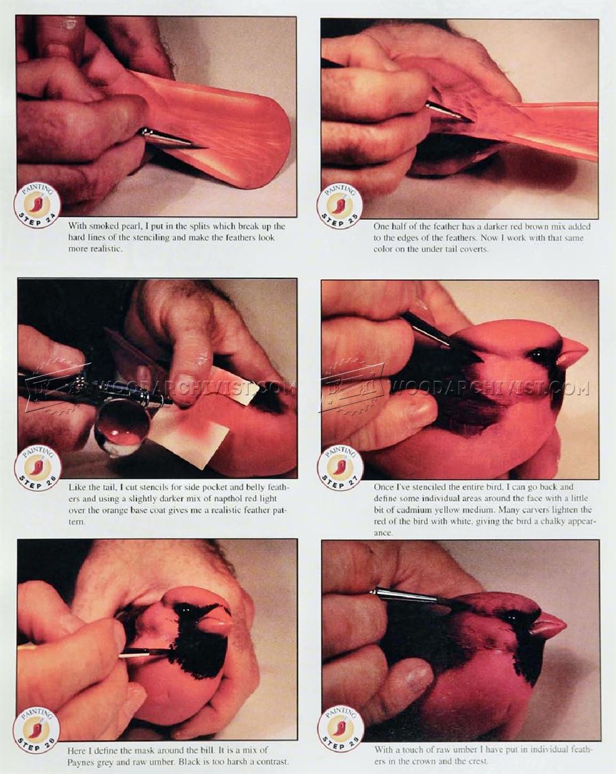 Cardinal Carving – Wood Carving Patterns