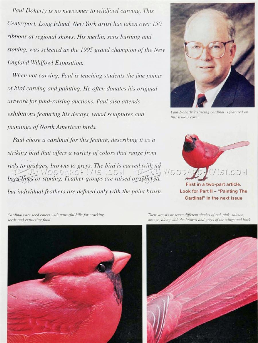 Cardinal Carving – Wood Carving Patterns
