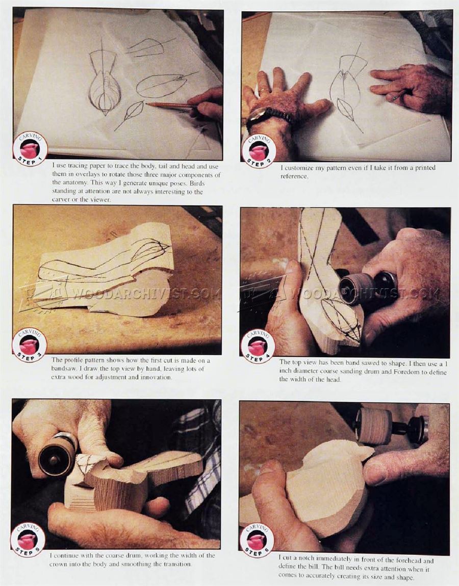 Cardinal Carving – Wood Carving Patterns