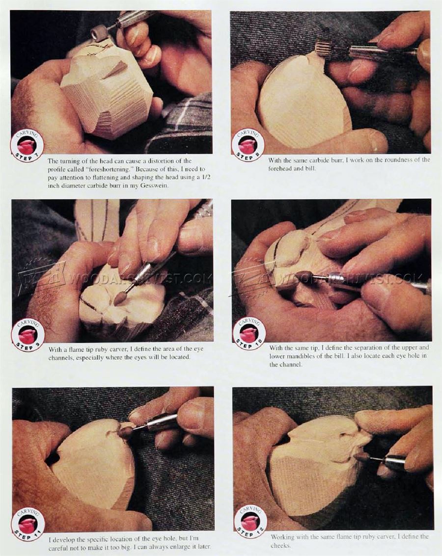 Cardinal Carving – Wood Carving Patterns
