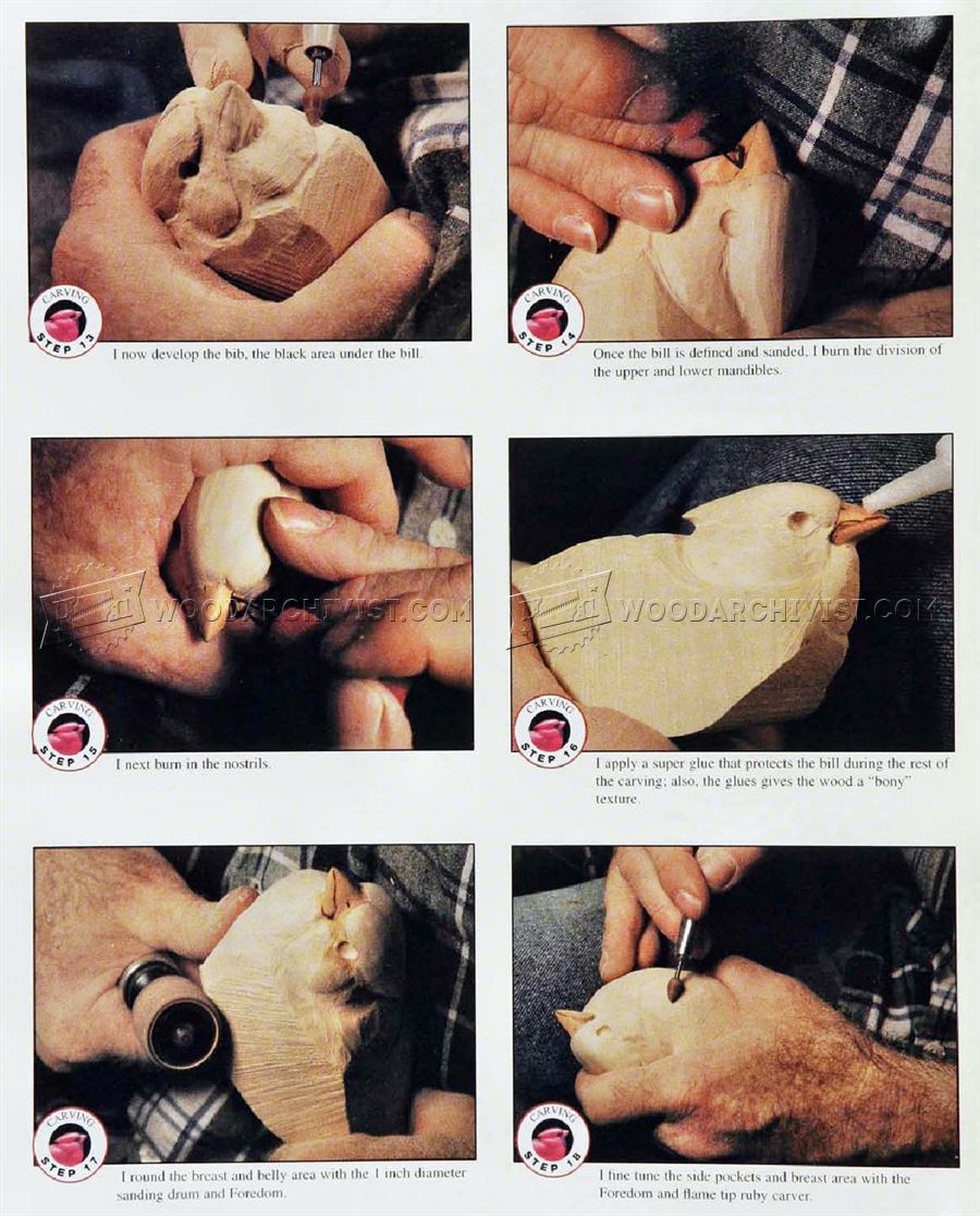 Cardinal Carving – Wood Carving Patterns