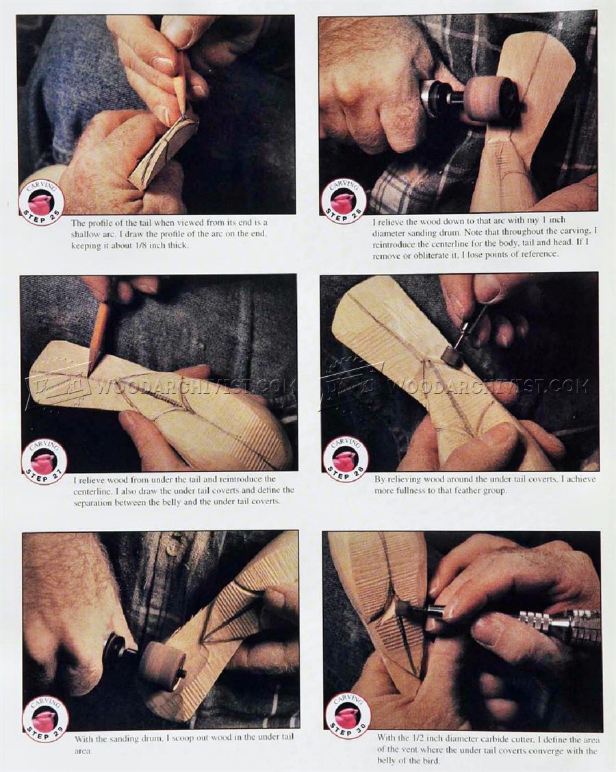 Cardinal Carving – Wood Carving Patterns