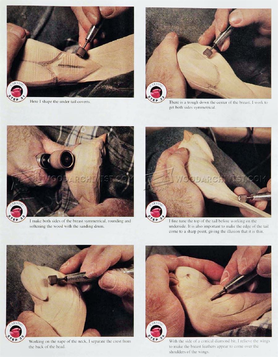 Cardinal Carving – Wood Carving Patterns