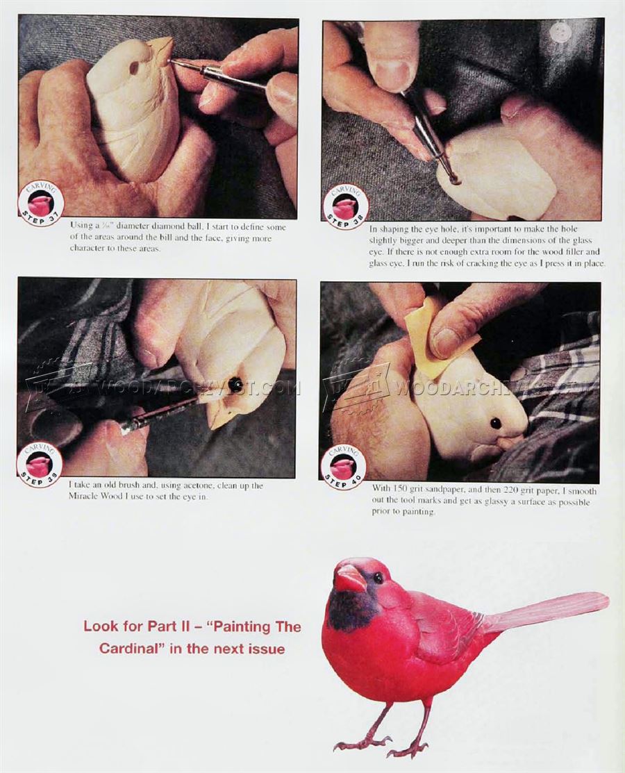 Cardinal Carving – Wood Carving Patterns
