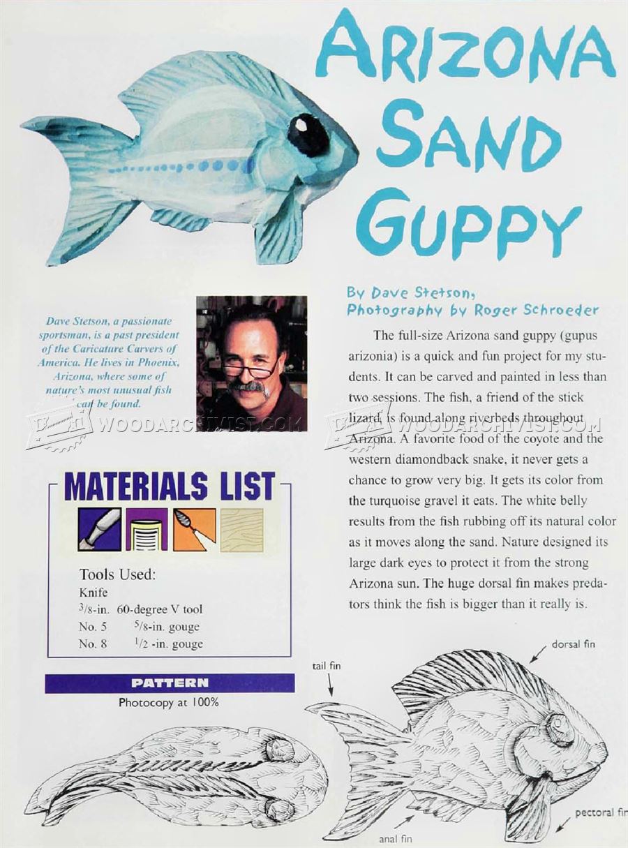 Carving Arizona Sand Guppy - Wood Carving Patterns