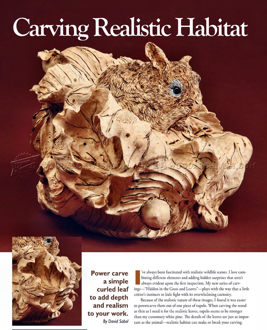 Carving Realistiс Habitat