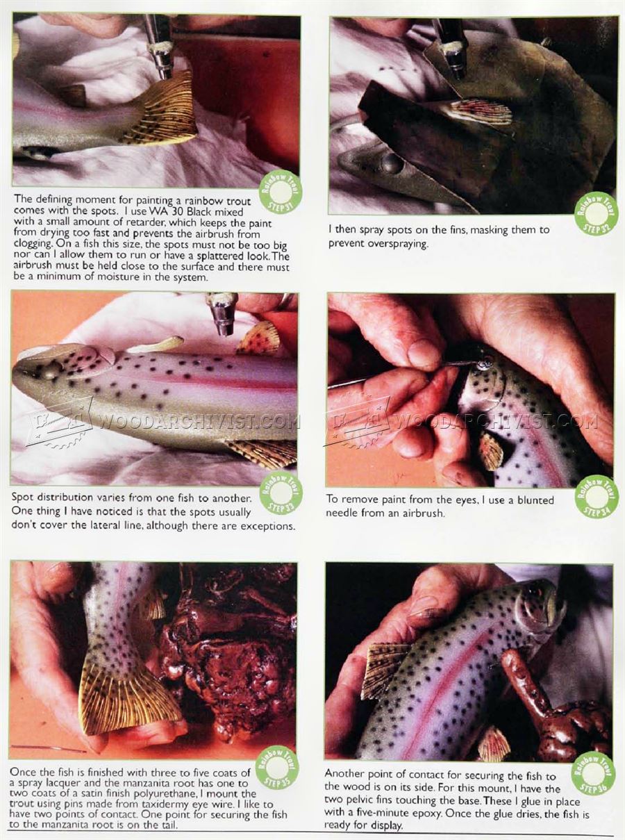 Carving and Painting Rainbow Trout