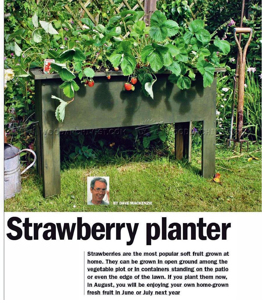 Strawberry Planter Plans