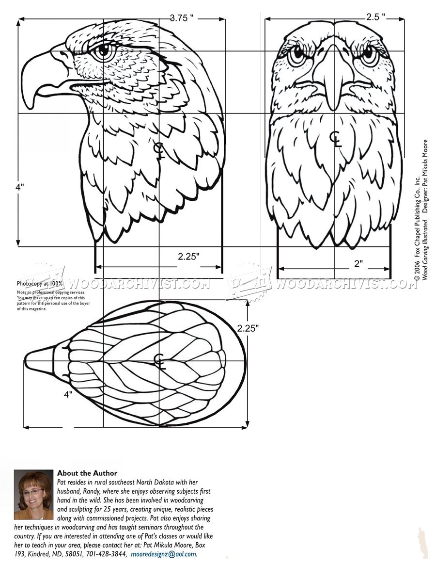 Carving Eagle Bust • WoodArchivist