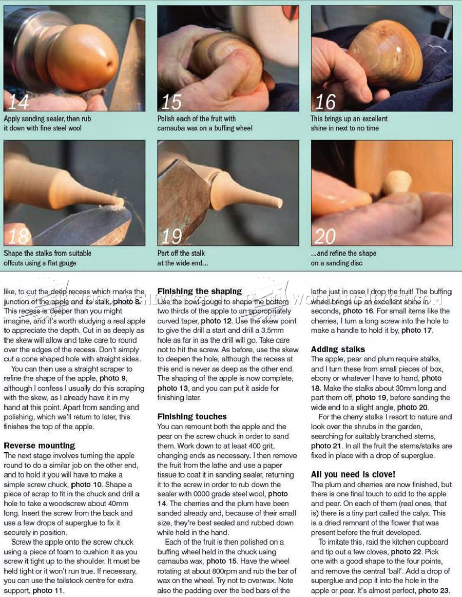 Wood Turning Fruit