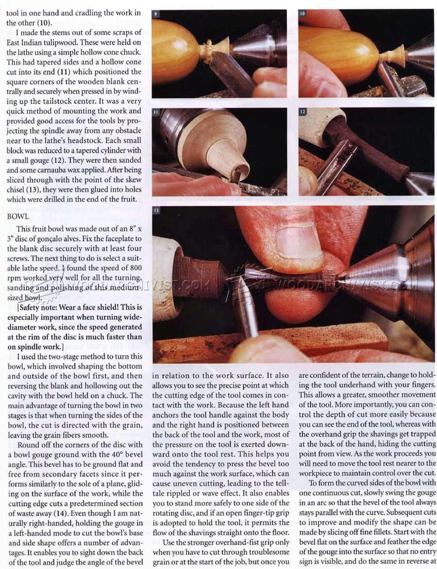 Woodturning Fruit
